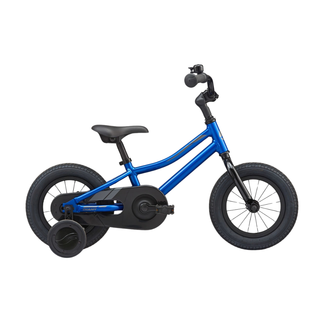 Close-up of the lightweight aluminum frame on the Giant Animator 12.